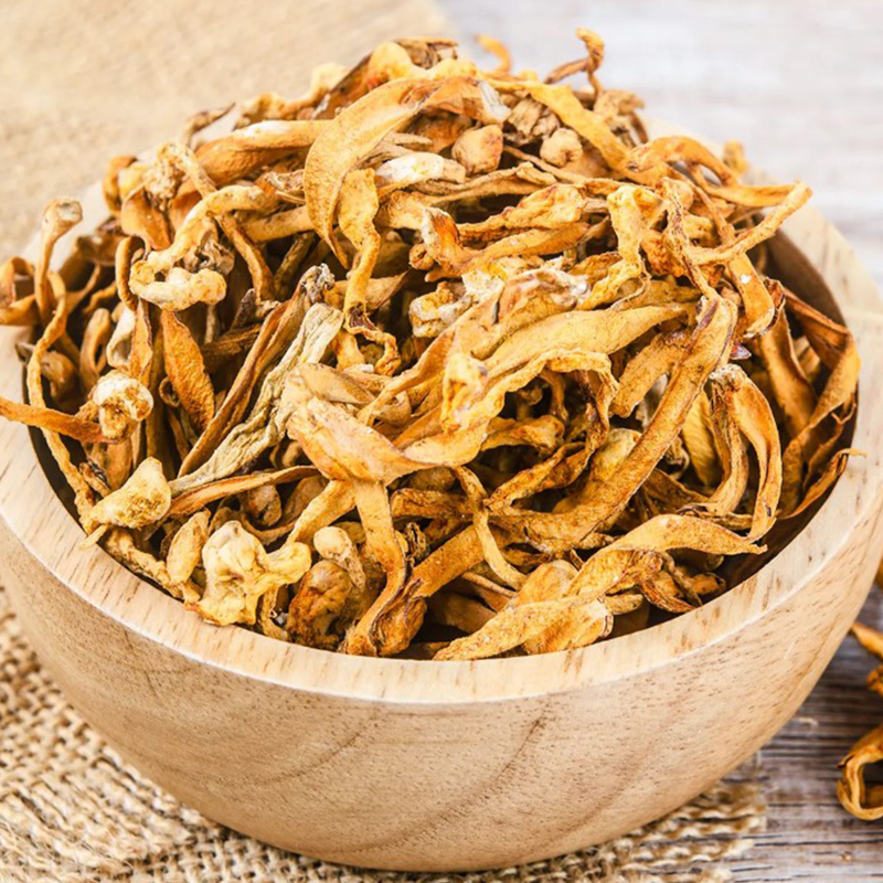 Cordyceps Mushroom