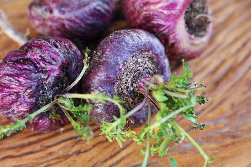 Red Maca