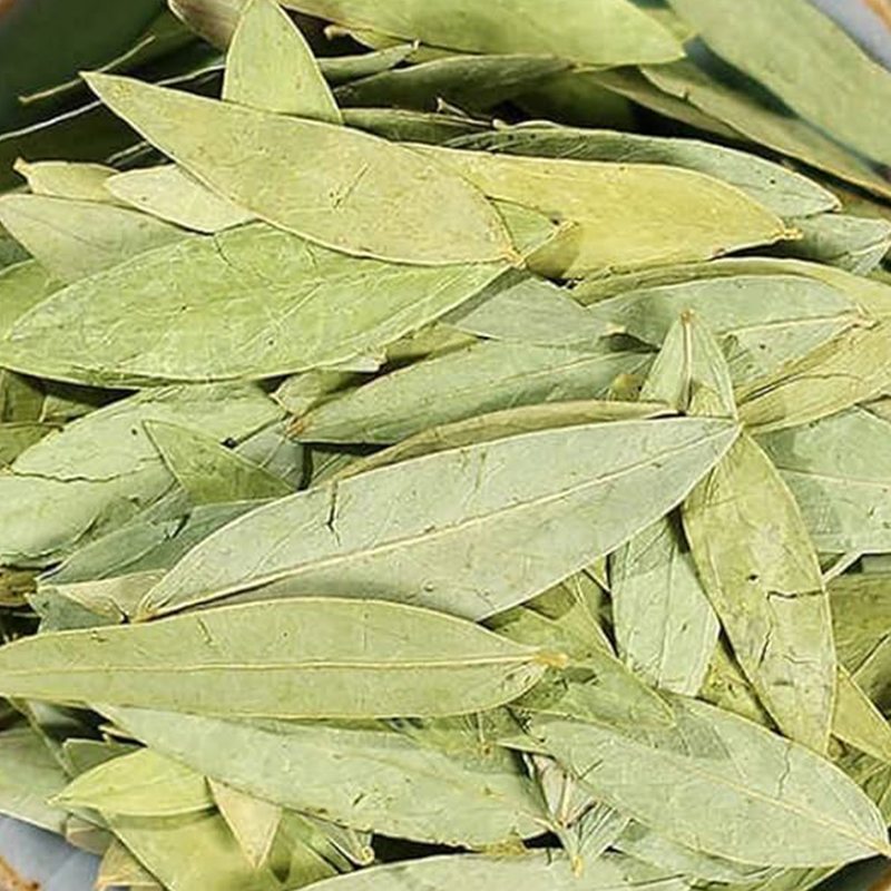 Senna Leaf